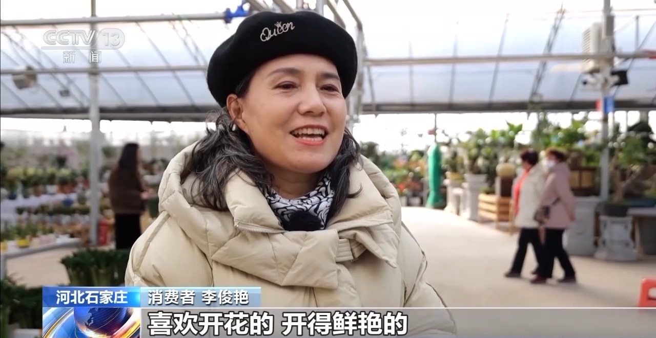 
中国中医科学院西苑黄牛代挂号电话票贩子号贩子网上预约挂号,住院检查加快,新年“好市”多！非遗集市人气旺 创意年宵花热销中