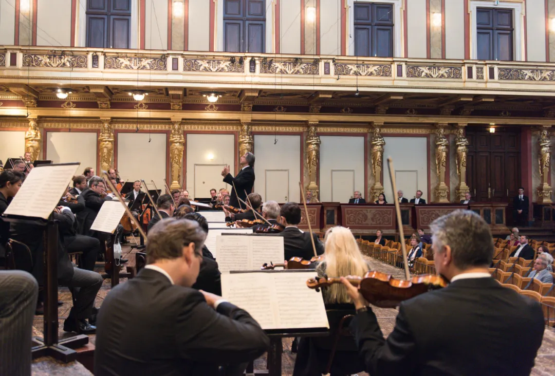 山东大学齐鲁医院黄牛代挂号电话票贩子号贩子网上预约挂号,住院检查加快,维也纳新年音乐会倒计时!大戏即将上演!