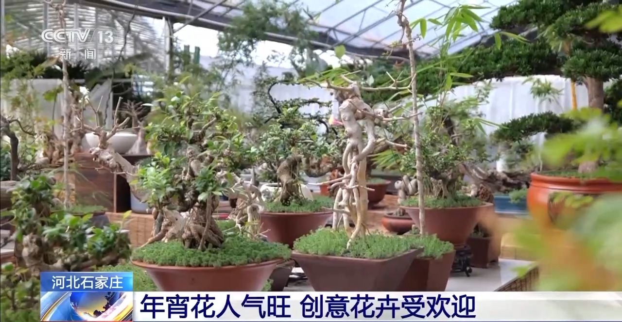 
中国中医科学院西苑黄牛代挂号电话票贩子号贩子网上预约挂号,住院检查加快,新年“好市”多！非遗集市人气旺 创意年宵花热销中