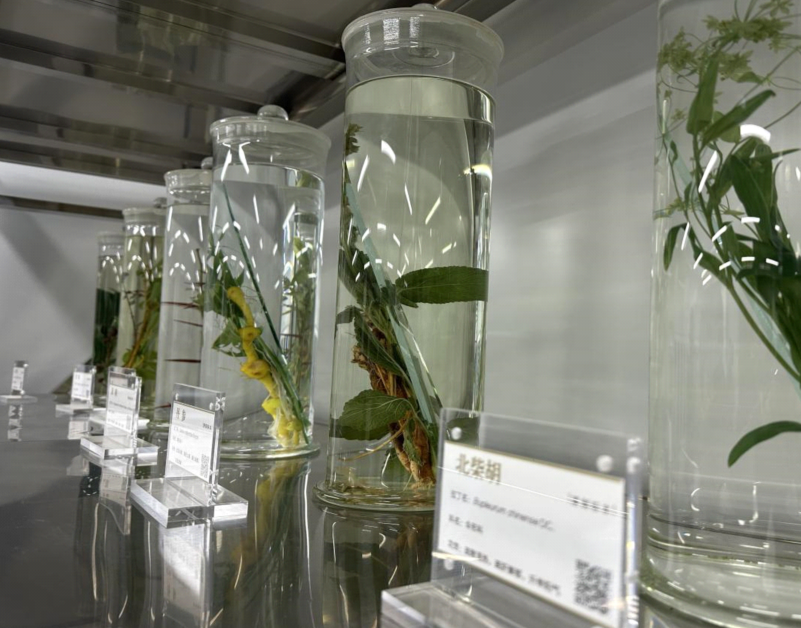 杭州市妇幼保健院黄牛代挂号电话票贩子号贩子网上预约挂号,住院检查加快,高质量发展调研行|河南中原药谷:草木千味药,万亩致富田