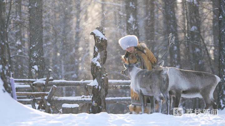 
北京同仁医院黄牛代挂号电话票贩子号贩子网上预约挂号,住院检查加快,暧暧远人村｜呼伦贝尔根河市敖鲁古雅村：鹿铃悠扬，奏响古老部落传奇新乐章