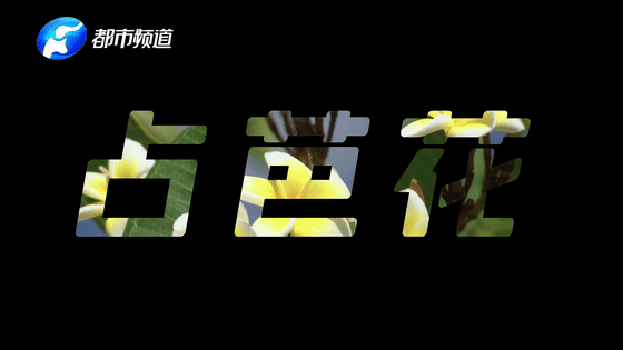 首都医科大学附属北京口腔医院黄牛代挂号电话票贩子号贩子网上预约挂号,住院检查加快,《总书记的回信》老挝篇