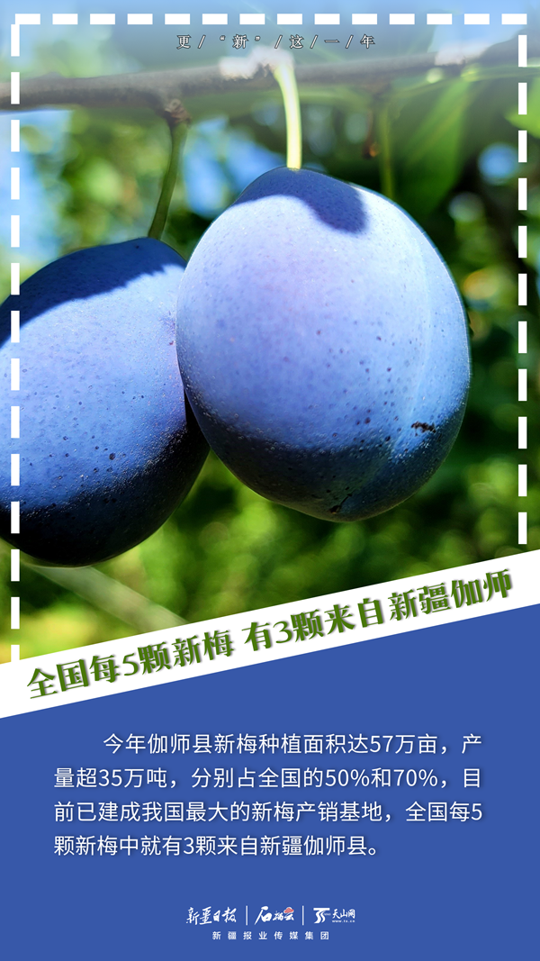 
中山一院黄牛代挂号电话票贩子号贩子网上预约挂号,住院检查加快,更“新”这一年丨一组海报速览这些新疆爆款好物