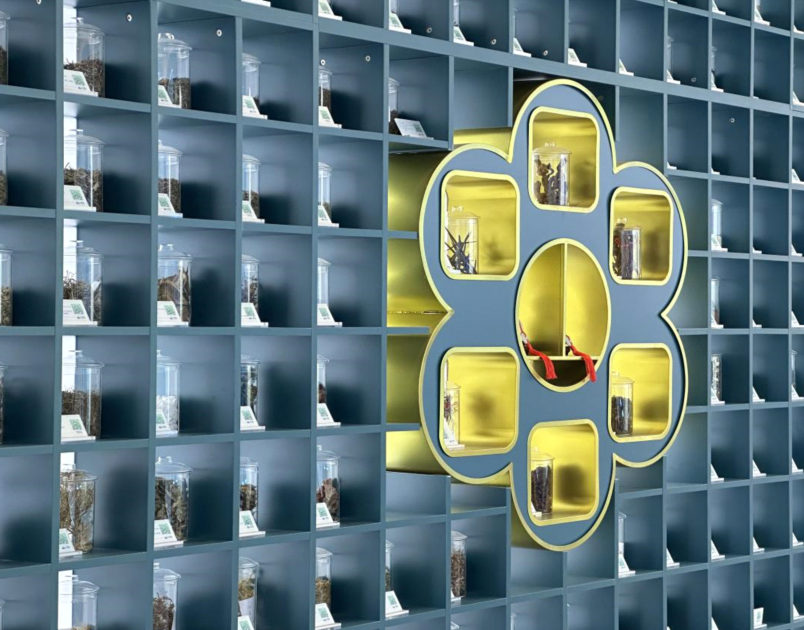 杭州市妇幼保健院黄牛代挂号电话票贩子号贩子网上预约挂号,住院检查加快,高质量发展调研行|河南中原药谷:草木千味药,万亩致富田