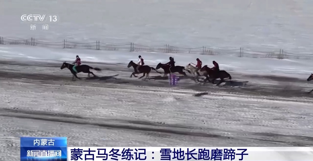 
上海肿瘤医院黄牛代挂号电话票贩子号贩子网上预约挂号,住院检查加快,跑马拾哈达、跑马射箭……冬日雪原赛马震撼场面来了