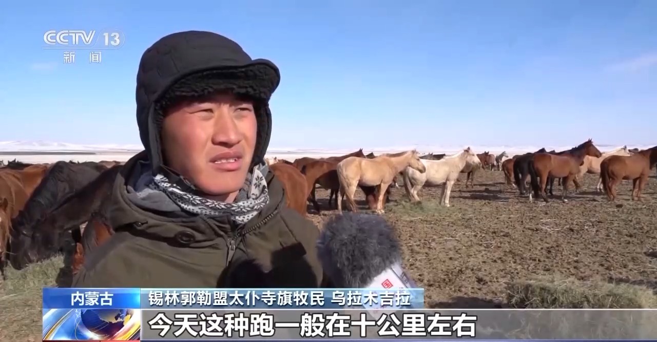 
上海肿瘤医院黄牛代挂号电话票贩子号贩子网上预约挂号,住院检查加快,跑马拾哈达、跑马射箭……冬日雪原赛马震撼场面来了