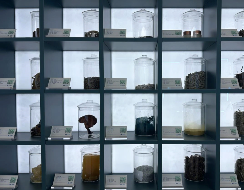 杭州市妇幼保健院黄牛代挂号电话票贩子号贩子网上预约挂号,住院检查加快,高质量发展调研行|河南中原药谷:草木千味药,万亩致富田