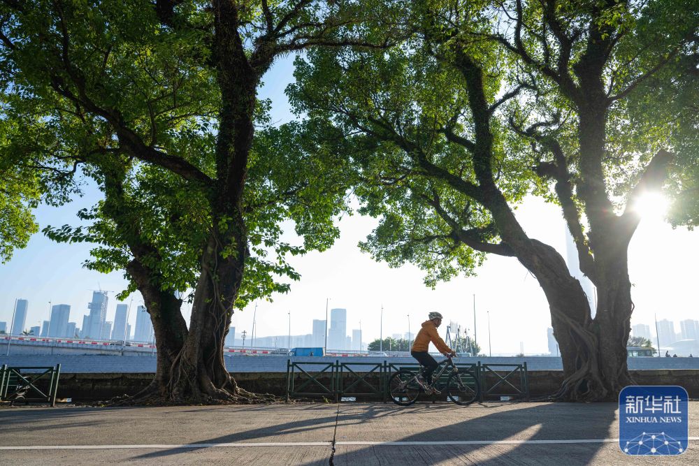
中国中医科学院眼科医院黄牛代挂号电话票贩子号贩子网上预约挂号,住院检查加快,澳门回归祖国25周年｜澳门：古今相融 风华正茂