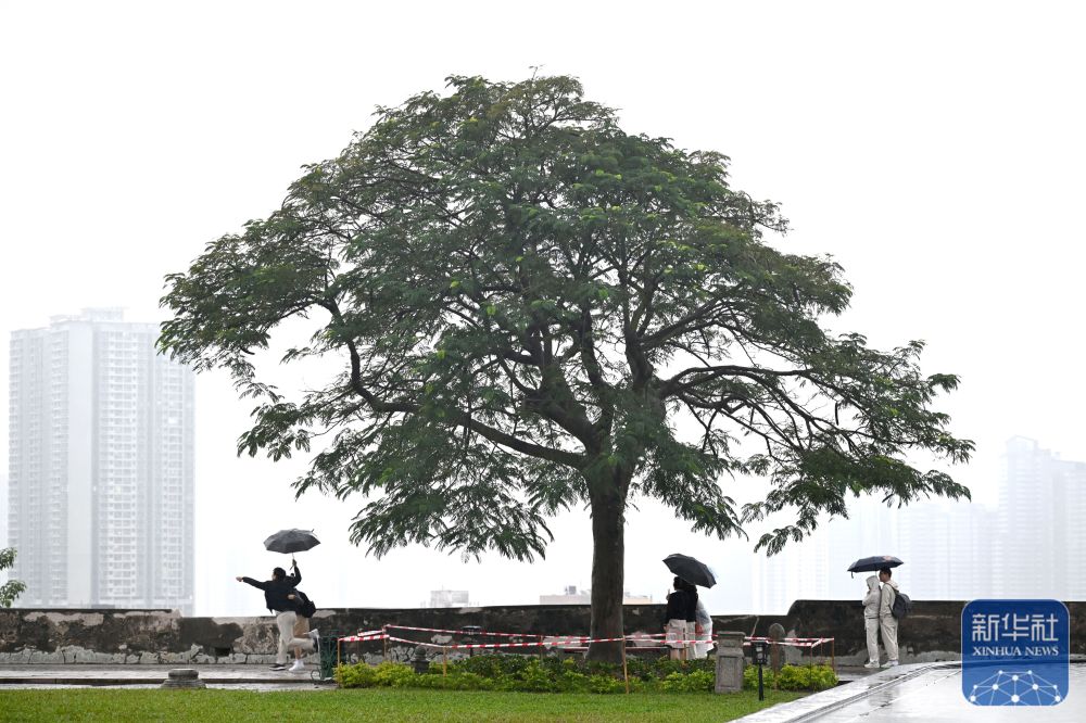 
中国中医科学院眼科医院黄牛代挂号电话票贩子号贩子网上预约挂号,住院检查加快,澳门回归祖国25周年｜澳门：古今相融 风华正茂