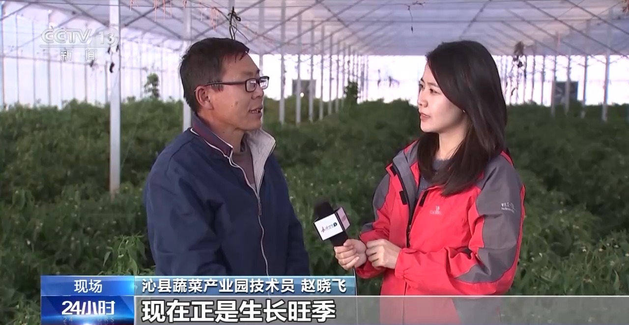 
天津各大医院黄牛代挂号电话票贩子号贩子网上预约挂号,住院检查加快,“暖冬”应对寒潮 多地推进供暖建设