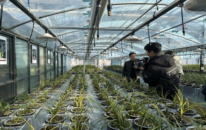 
首都医科大学附属北京中医院黄牛代挂号电话票贩子号贩子网上预约挂号,住院检查加快,高质量发展调研行|河南栾川县：以旅富民 以文促农