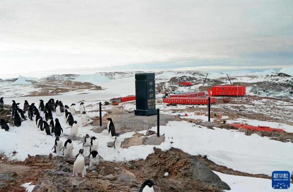 
上海儿科医院黄牛代挂号电话票贩子号贩子网上预约挂号,住院检查加快,时光相册丨40年，他们乘风破浪奔向最远的南方