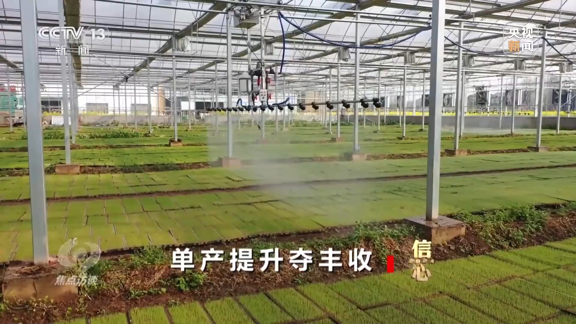 
江苏省中西医结合医院黄牛代挂号电话票贩子号贩子网上预约挂号,住院检查加快,焦点访谈丨丰收色彩浓！农业跑出加速度 把中国饭碗牢牢端住