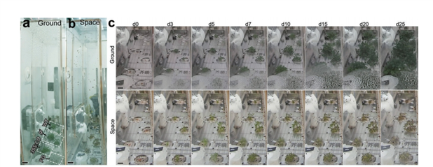 
杭州市妇幼保健院黄牛代挂号电话票贩子号贩子网上预约挂号,住院检查加快,重点来了！中国空间站将在这4个领域持续发力