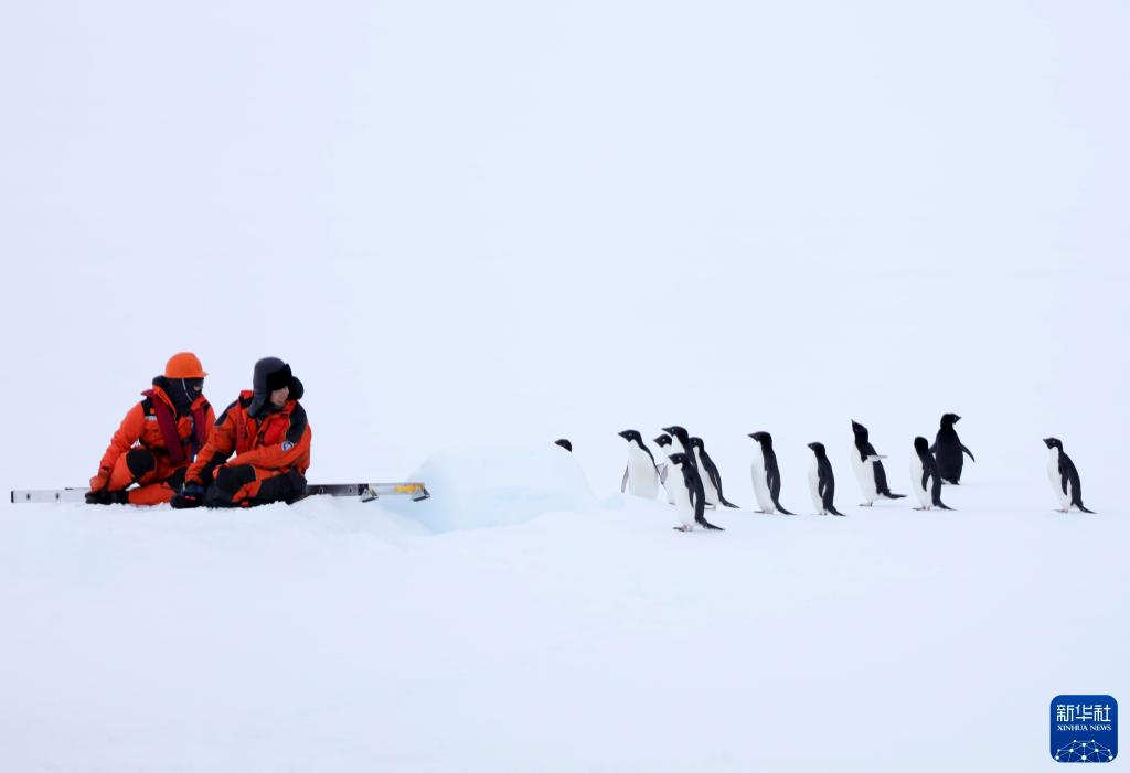 
上海儿科医院黄牛代挂号电话票贩子号贩子网上预约挂号,住院检查加快,时光相册丨40年，他们乘风破浪奔向最远的南方