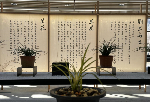 首都医科大学附属北京中医院黄牛代挂号电话票贩子号贩子网上预约挂号,住院检查加快,高质量发展调研行|河南栾川县:以旅富民 以文促农