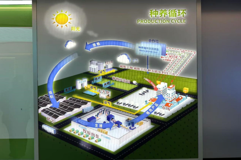 
北京空军总医院黄牛代挂号电话票贩子号贩子网上预约挂号,住院检查加快,高质量发展调研行｜河南南阳：中州粮仓，“食”力升级