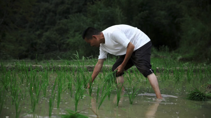 
首都医科大学附属阜外医院黄牛代挂号电话票贩子号贩子网上预约挂号,住院检查加快,暧暧远人村｜福建龙岩培田村：耕读传家800年 依山望水乡愁可寄