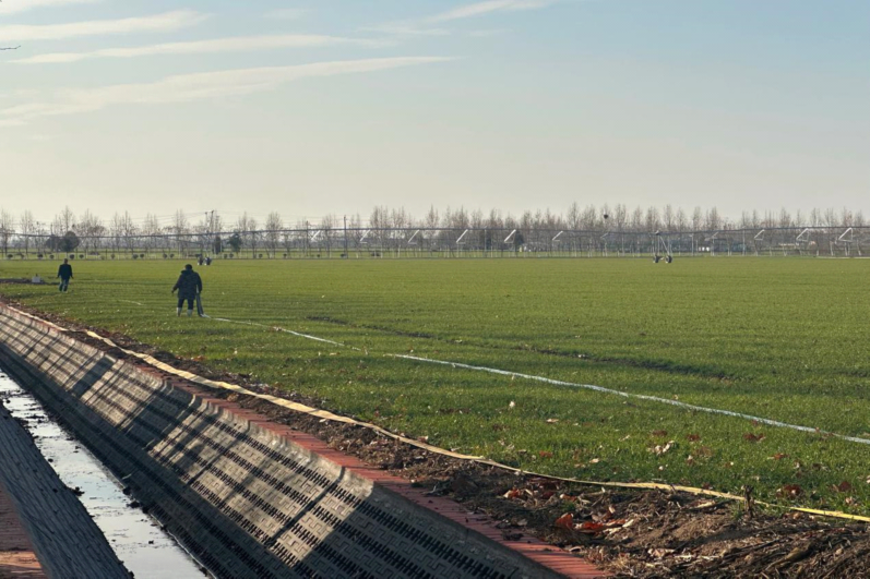 
北京空军总医院黄牛代挂号电话票贩子号贩子网上预约挂号,住院检查加快,高质量发展调研行｜河南南阳：中州粮仓，“食”力升级