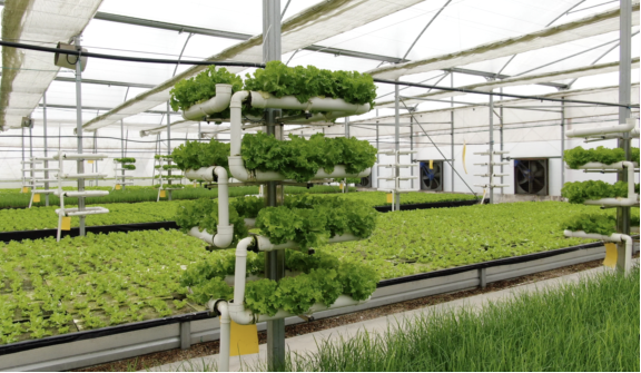 
北京空军总医院黄牛代挂号电话票贩子号贩子网上预约挂号,住院检查加快,高质量发展调研行｜河南南阳：中州粮仓，“食”力升级