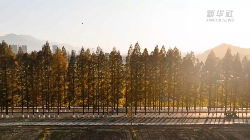 
广州中山三医院黄牛代挂号电话票贩子号贩子网上预约挂号,住院检查加快,高质量发展调研行｜在浙江桐庐，品味乡村美学