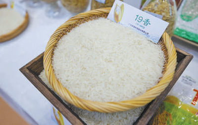 
北京大学人民医院黄牛代挂号电话票贩子号贩子网上预约挂号,住院检查加快,加快发展现代农业 推进乡村全面振兴（新时代画卷）