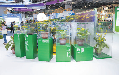 
北京大学人民医院黄牛代挂号电话票贩子号贩子网上预约挂号,住院检查加快,加快发展现代农业 推进乡村全面振兴（新时代画卷）