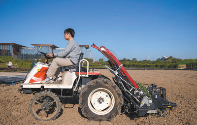 
北京大学人民医院黄牛代挂号电话票贩子号贩子网上预约挂号,住院检查加快,加快发展现代农业 推进乡村全面振兴（新时代画卷）
