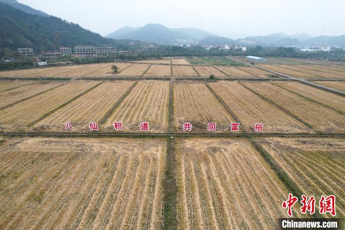 
广东省人民医院黄牛代挂号电话票贩子号贩子网上预约挂号,住院检查加快,（高质量发展调研行）游子归乡创新创业 一抹“乡愁”激起乡村文旅“千层浪”