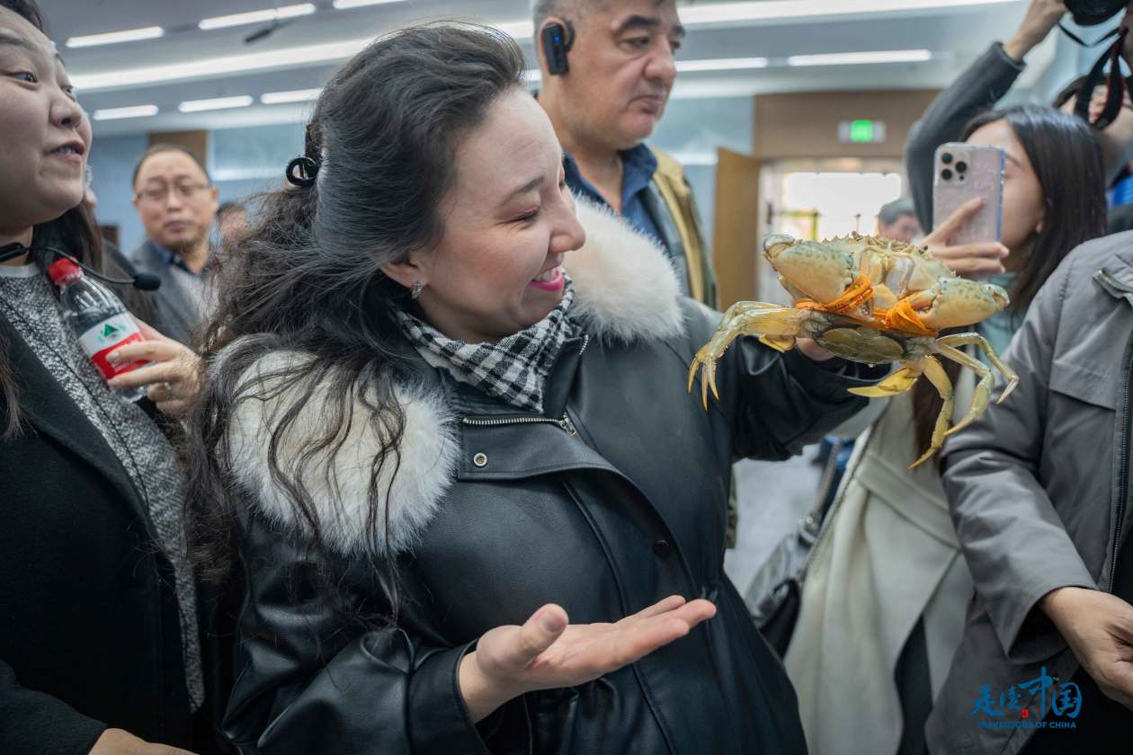 
包含北京大学第一医院黄牛代挂号电话票贩子号贩子网上预约挂号,住院检查加快,外国记者走读中国 解码中国式现代化