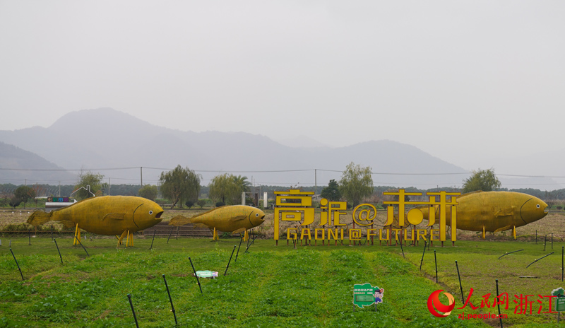 
江苏省中西医结合医院黄牛代挂号电话票贩子号贩子网上预约挂号,住院检查加快,高质量发展调研行｜看新时代小渔村如何“靠海吃海”？