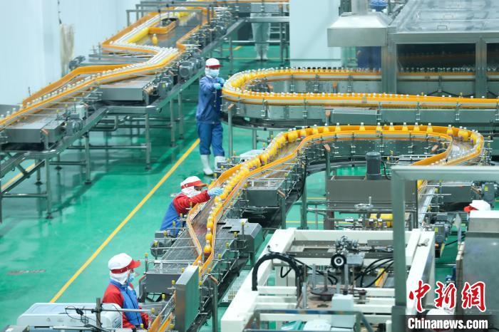 
浙江医院黄牛代挂号电话票贩子号贩子网上预约挂号,住院检查加快,（高质量发展调研行）“吃干榨净”一只果，何以致富一方人？