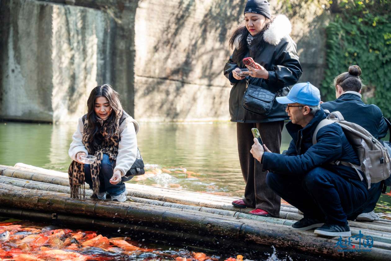 
包含北京大学第一医院黄牛代挂号电话票贩子号贩子网上预约挂号,住院检查加快,外国记者走读中国 解码中国式现代化