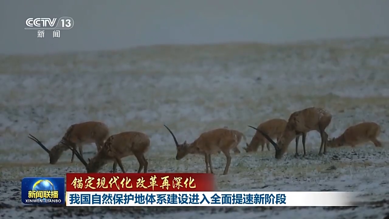 
杭州市第一人民医院黄牛代挂号电话票贩子号贩子网上预约挂号,住院检查加快,锚定现代化 改革再深化丨我国自然保护地体系建设进入全面提速新阶段