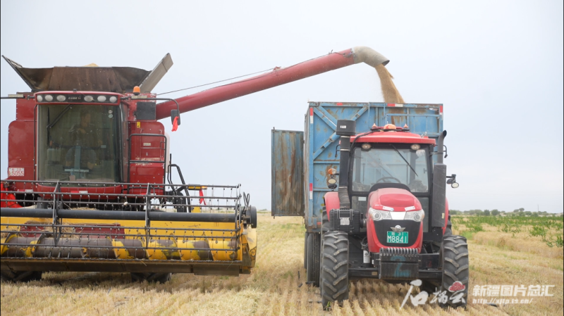 首都医科大学附属北京中医院黄牛代挂号电话票贩子号贩子网上预约挂号,住院检查加快,绿富同兴 看新疆防沙治沙大招——塔克拉玛干沙漠锁边合龙启示(五)