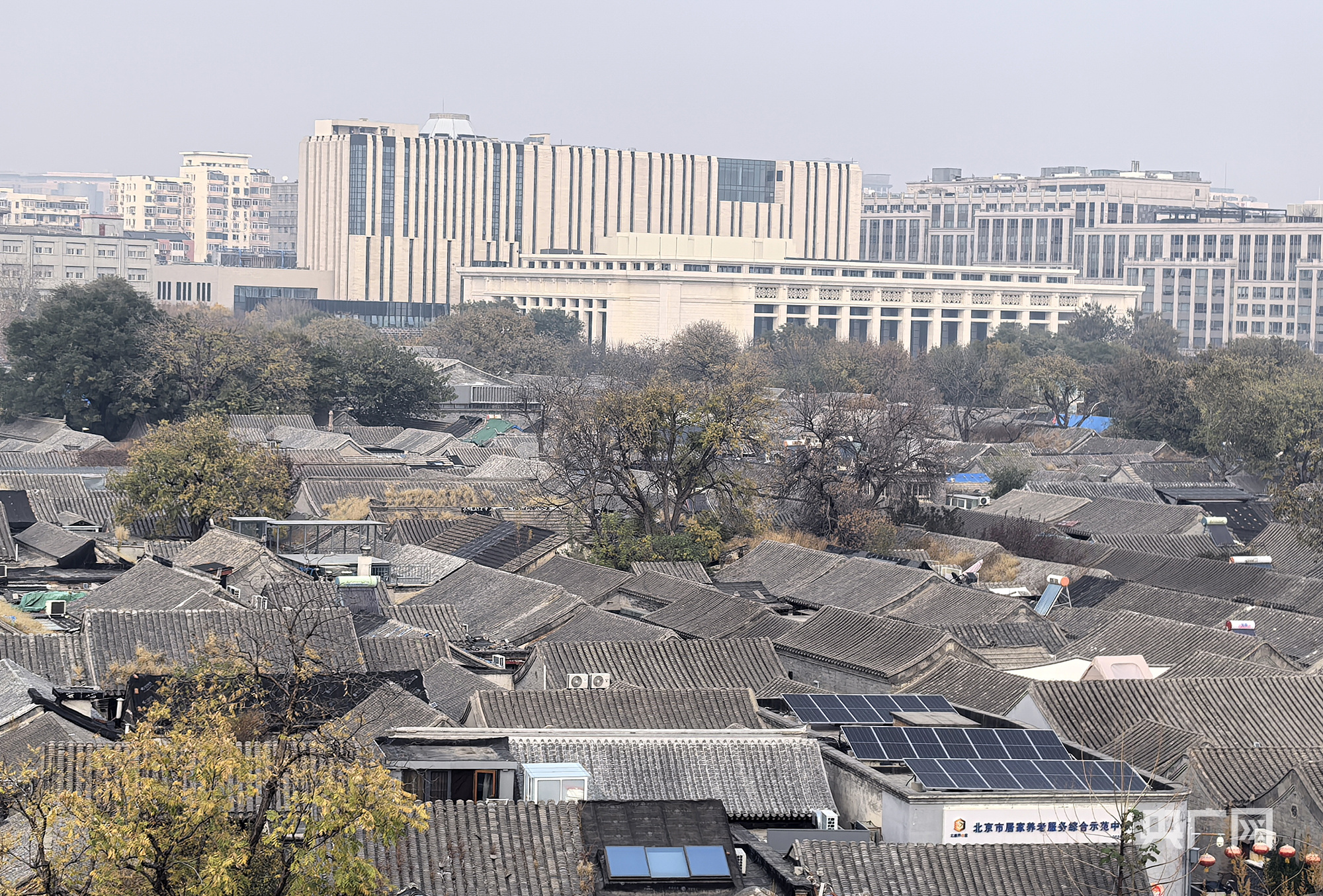 
上海瑞金医院黄牛代挂号电话票贩子号贩子网上预约挂号,住院检查加快,【人民城市·温情中国】奏响“首善之区”民生乐章