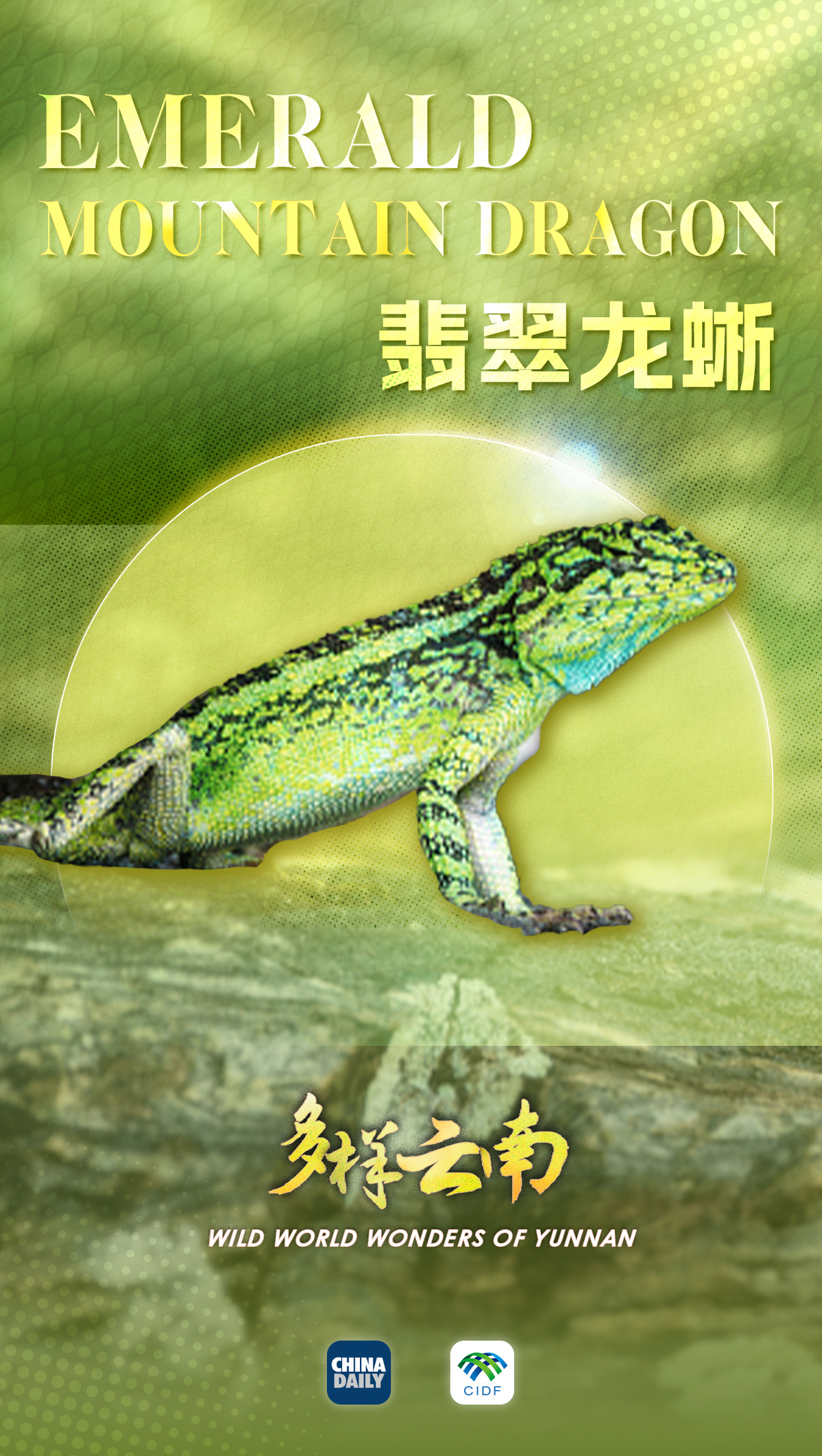 
首都医科大学附属北京同仁医院黄牛代挂号电话票贩子号贩子网上预约挂号,住院检查加快,云南宝藏动植物发现之旅
