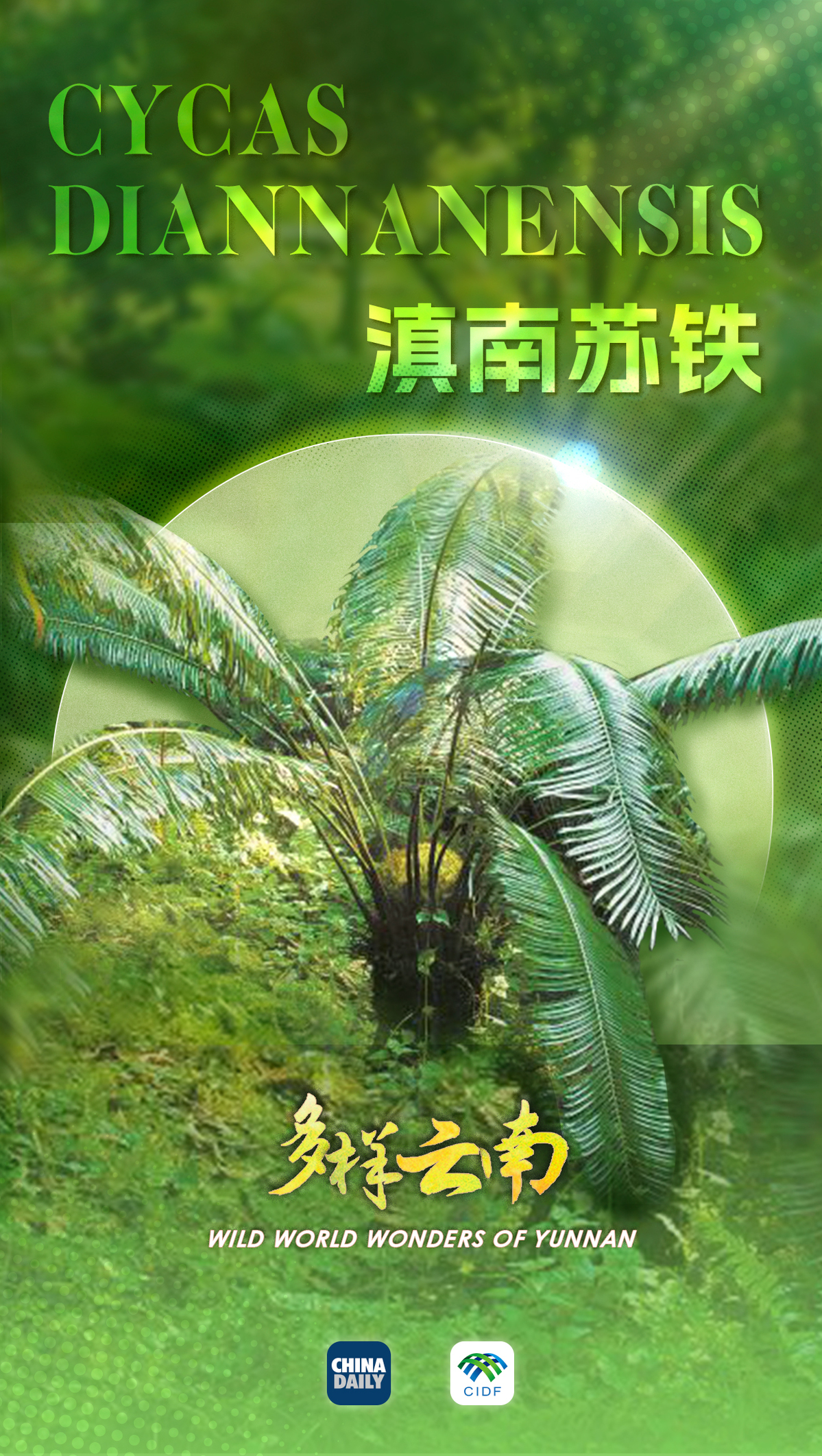 
首都医科大学附属北京同仁医院黄牛代挂号电话票贩子号贩子网上预约挂号,住院检查加快,云南宝藏动植物发现之旅