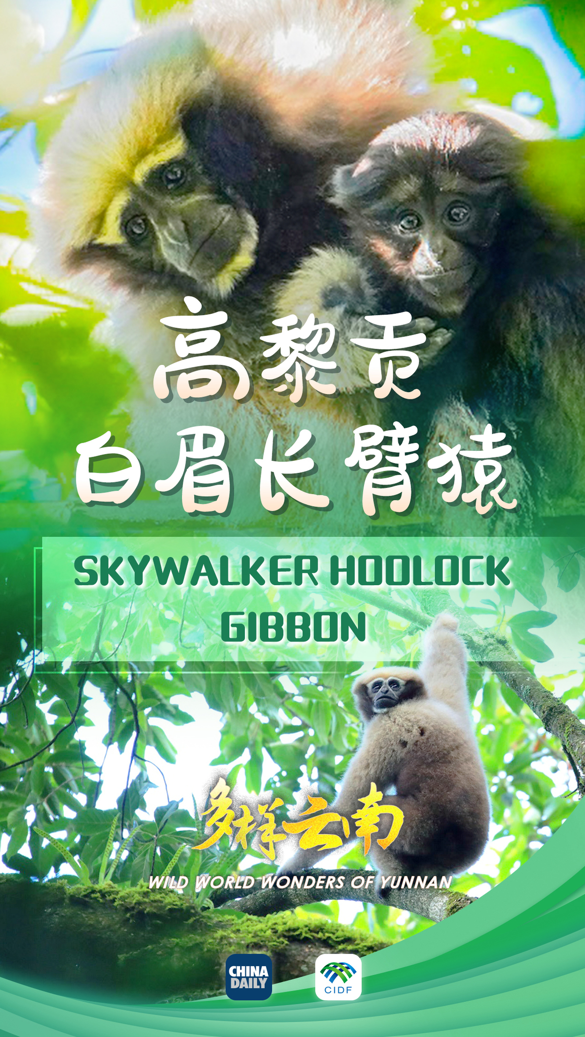 
首都医科大学附属北京同仁医院黄牛代挂号电话票贩子号贩子网上预约挂号,住院检查加快,云南宝藏动植物发现之旅