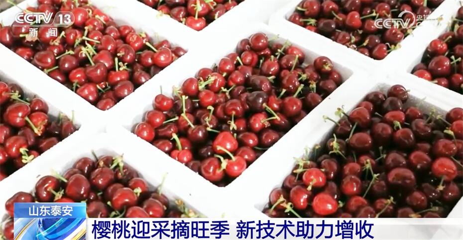 
首都医科大学附属北京朝阳医院黄牛代挂号电话票贩子号贩子网上预约挂号,住院检查加快,乡村产业发展“新新”向荣呈现良好态势 打造乡村振兴“新引擎”