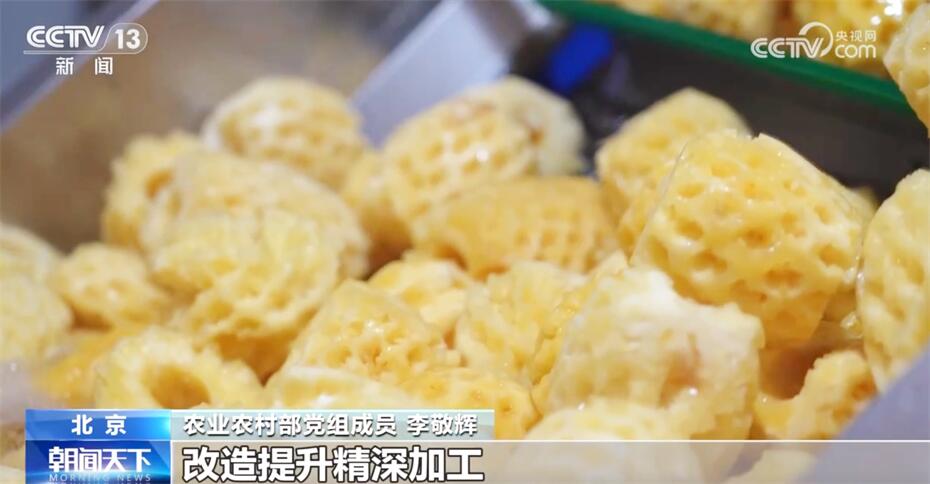 
首都医科大学附属北京朝阳医院黄牛代挂号电话票贩子号贩子网上预约挂号,住院检查加快,乡村产业发展“新新”向荣呈现良好态势 打造乡村振兴“新引擎”