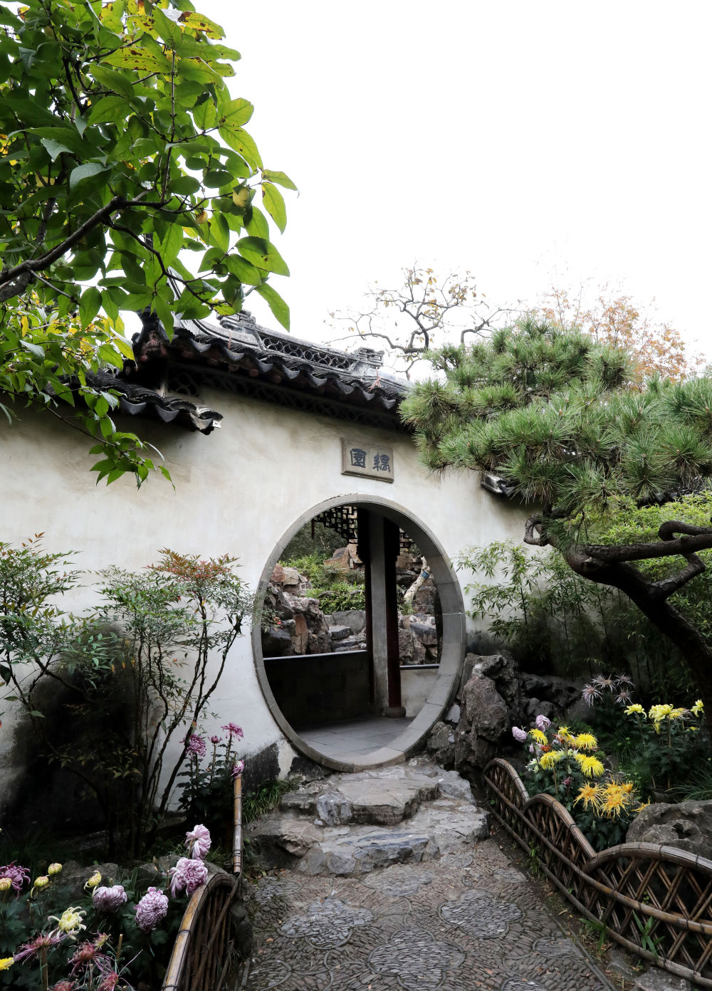 
北京大学肿瘤医院黄牛代挂号电话票贩子号贩子网上预约挂号,住院检查加快,文化中国行丨园林圆好梦，耦园成佳偶