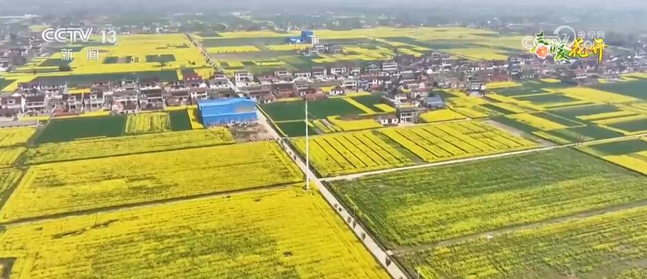 
广州各大医院黄牛代挂号电话票贩子号贩子网上预约挂号,住院检查加快,换个角度看春天！透过航拍镜头走进五彩斑斓的中国