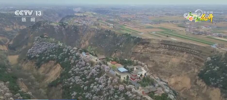 
广州各大医院黄牛代挂号电话票贩子号贩子网上预约挂号,住院检查加快,换个角度看春天！透过航拍镜头走进五彩斑斓的中国