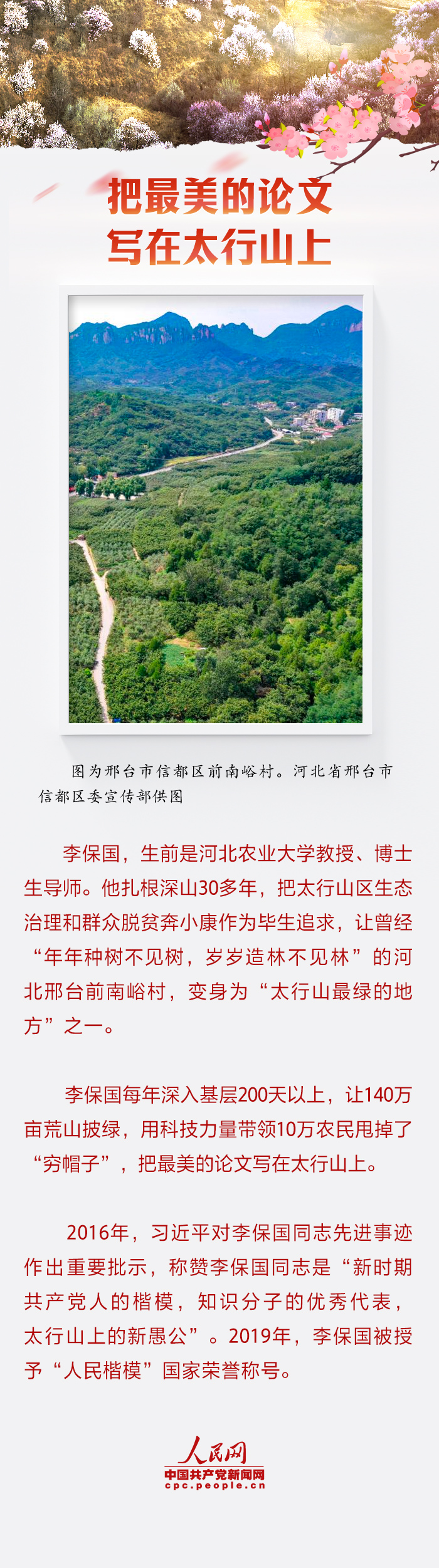 
北京西苑医院黄牛代挂号电话票贩子号贩子网上预约挂号,住院检查加快,跟总书记一起厚植精神之“树”