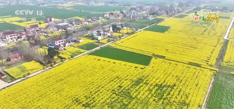 
广州各大医院黄牛代挂号电话票贩子号贩子网上预约挂号,住院检查加快,换个角度看春天！透过航拍镜头走进五彩斑斓的中国