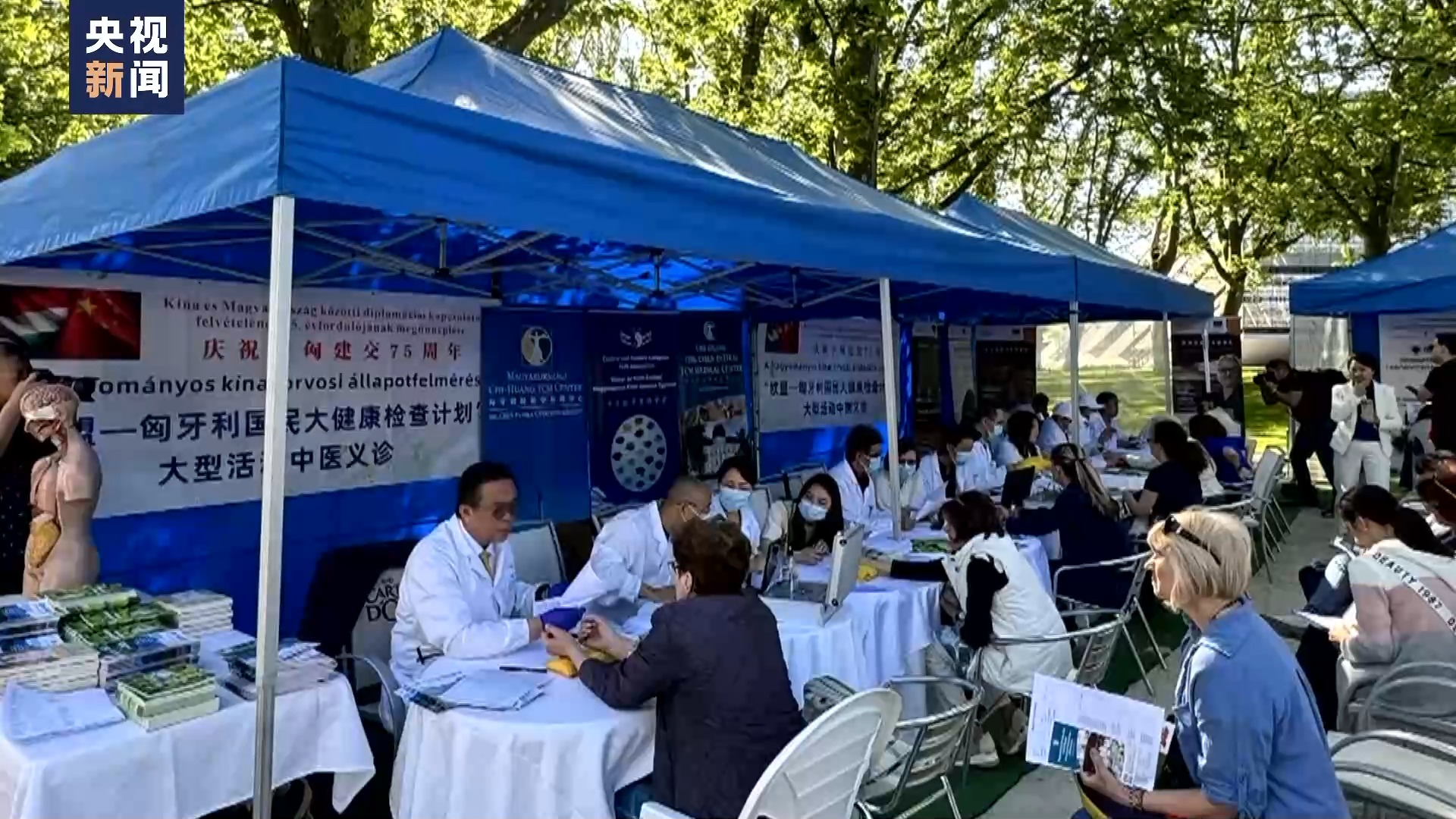
天津各大医院黄牛代挂号电话票贩子号贩子网上预约挂号,住院检查加快,中医药全球热 匈牙利成欧洲中医药文化繁荣新地标