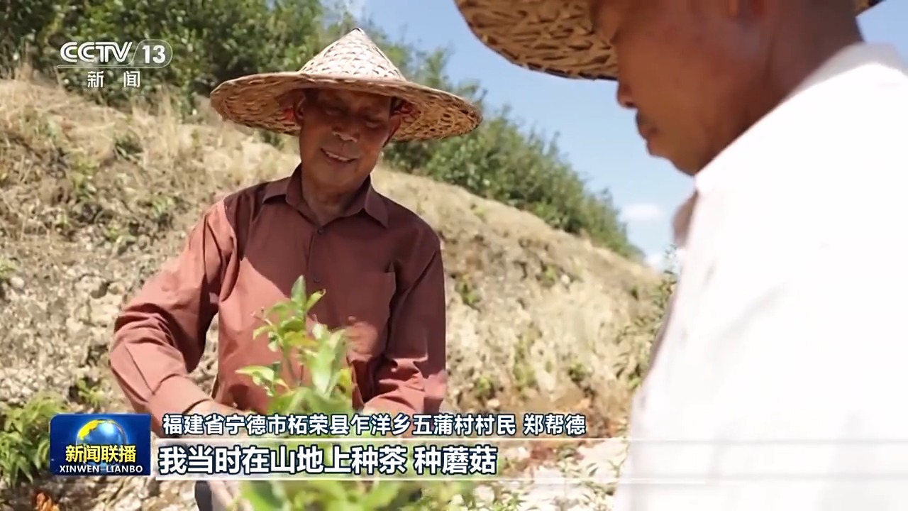 
上海儿科医院黄牛代挂号电话票贩子号贩子网上预约挂号,住院检查加快,靠山吃山 靠海吃海！福建践行大食物观 30年“从缺到富”