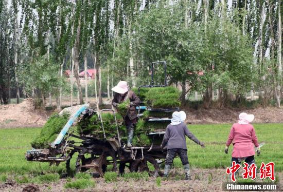 
首都医科大学附属北京妇产医院黄牛代挂号电话票贩子号贩子网上预约挂号,住院检查加快,新疆喀什市万亩“海水稻”插秧工作全面展开