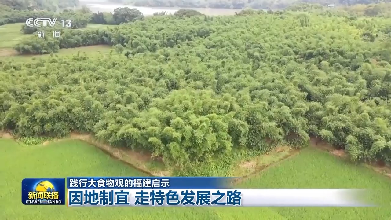 
上海儿科医院黄牛代挂号电话票贩子号贩子网上预约挂号,住院检查加快,靠山吃山 靠海吃海！福建践行大食物观 30年“从缺到富”
